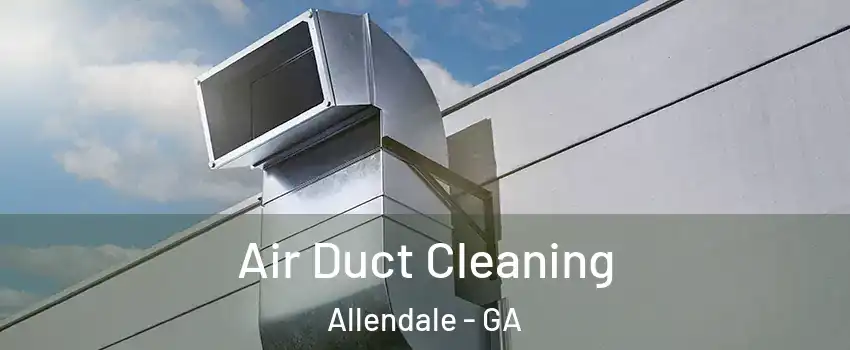 Air Duct Cleaning Allendale - GA