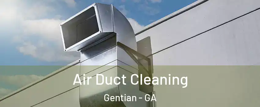 Air Duct Cleaning Gentian - GA