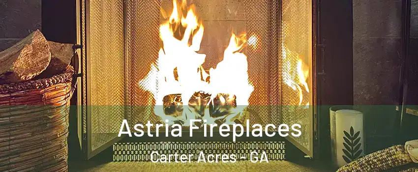 Astria Fireplaces Carter Acres - GA