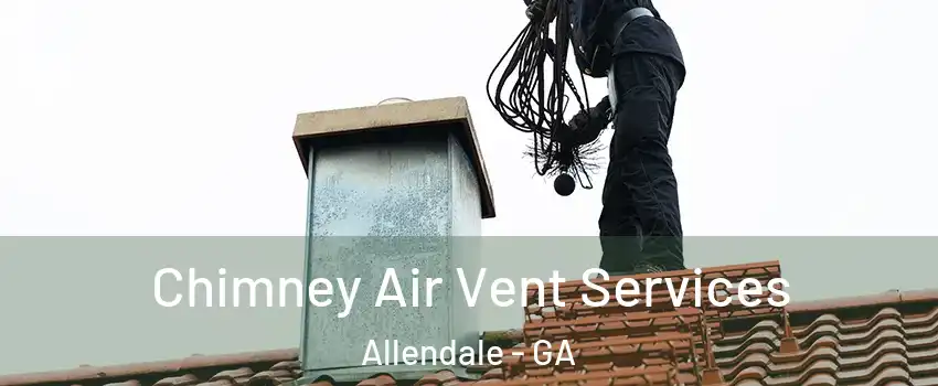 Chimney Air Vent Services Allendale - GA
