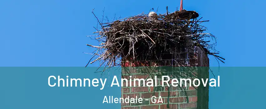 Chimney Animal Removal Allendale - GA