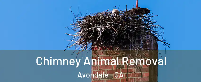 Chimney Animal Removal Avondale - GA