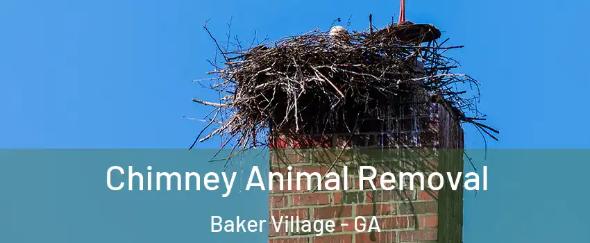 Chimney Animal Removal Baker Village - GA