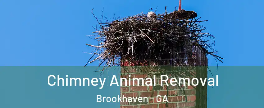 Chimney Animal Removal Brookhaven - GA