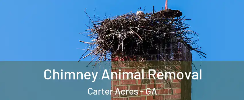 Chimney Animal Removal Carter Acres - GA