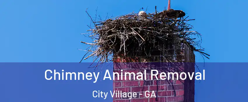 Chimney Animal Removal City Village - GA
