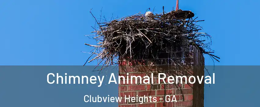 Chimney Animal Removal Clubview Heights - GA