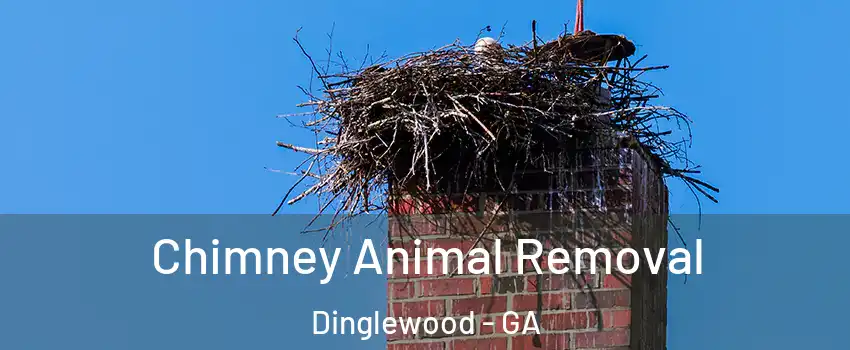 Chimney Animal Removal Dinglewood - GA