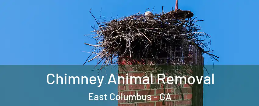 Chimney Animal Removal East Columbus - GA
