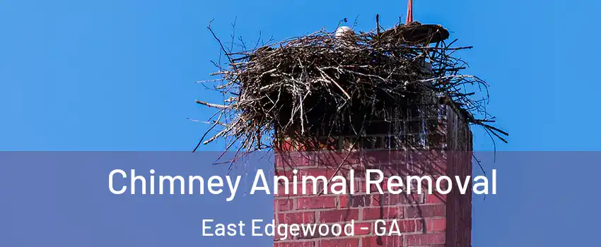 Chimney Animal Removal East Edgewood - GA
