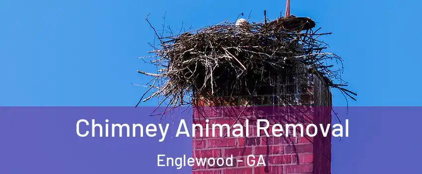 Chimney Animal Removal Englewood - GA