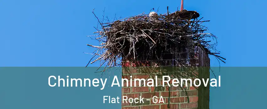 Chimney Animal Removal Flat Rock - GA