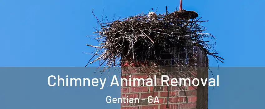 Chimney Animal Removal Gentian - GA