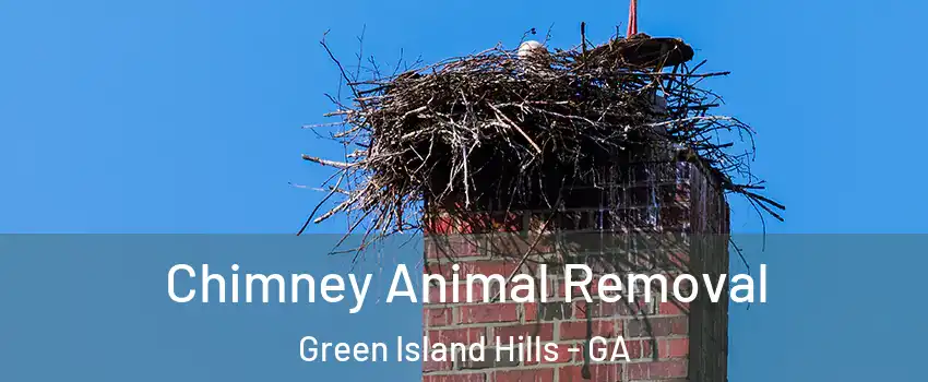 Chimney Animal Removal Green Island Hills - GA