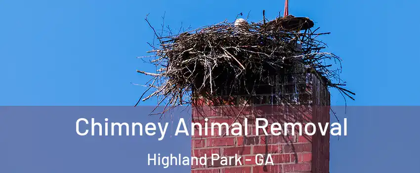 Chimney Animal Removal Highland Park - GA