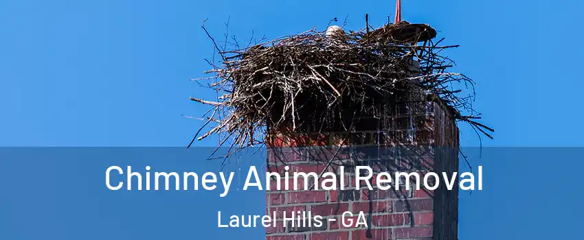 Chimney Animal Removal Laurel Hills - GA