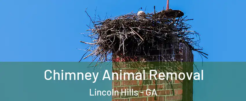 Chimney Animal Removal Lincoln Hills - GA