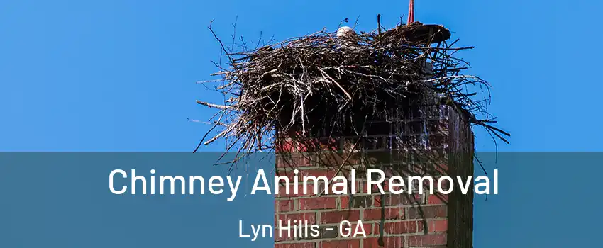 Chimney Animal Removal Lyn Hills - GA