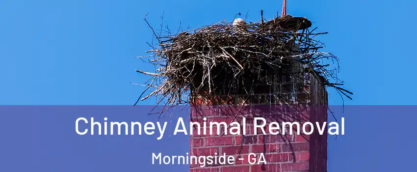 Chimney Animal Removal Morningside - GA