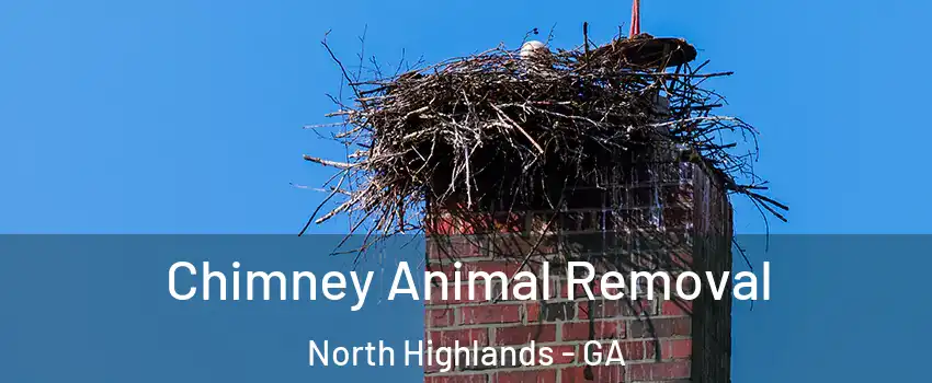 Chimney Animal Removal North Highlands - GA