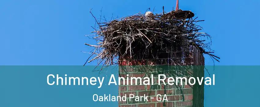 Chimney Animal Removal Oakland Park - GA