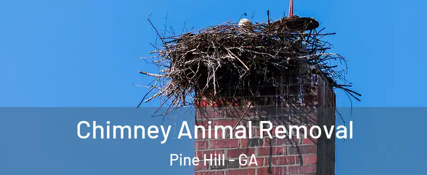 Chimney Animal Removal Pine Hill - GA