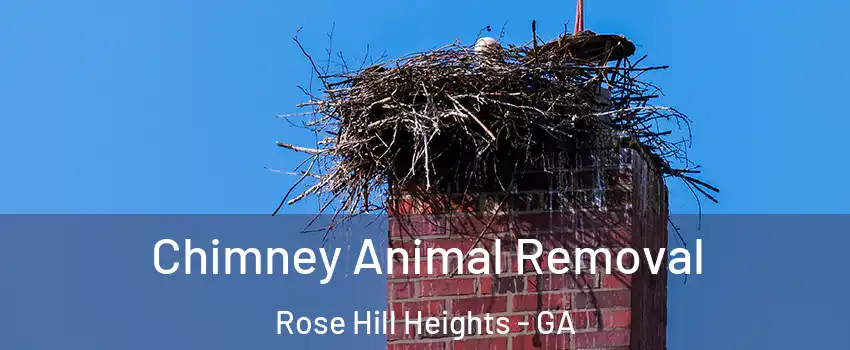 Chimney Animal Removal Rose Hill Heights - GA