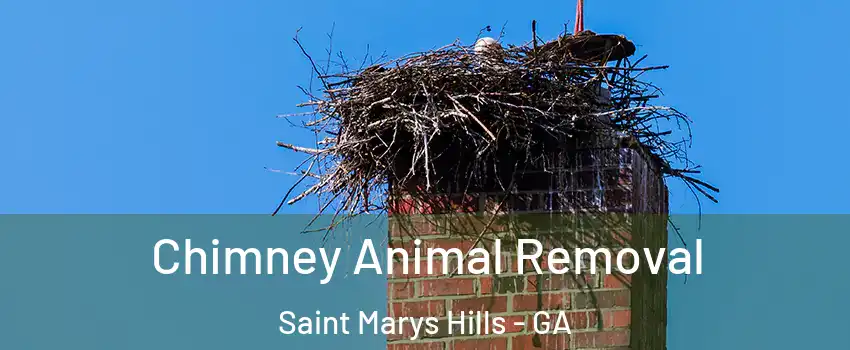 Chimney Animal Removal Saint Marys Hills - GA