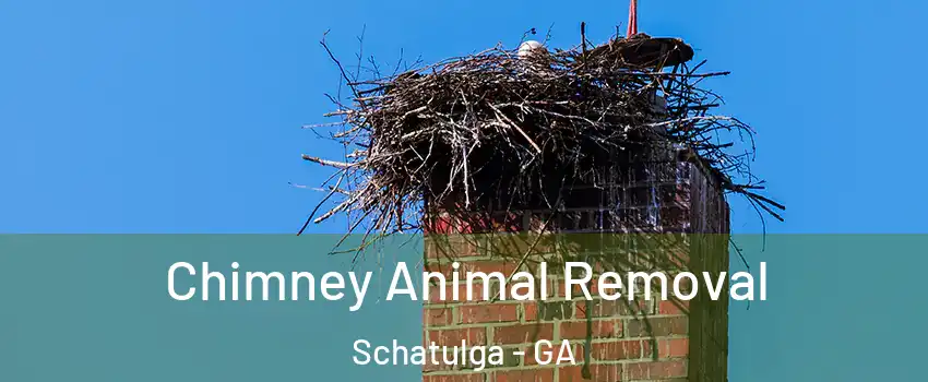 Chimney Animal Removal Schatulga - GA
