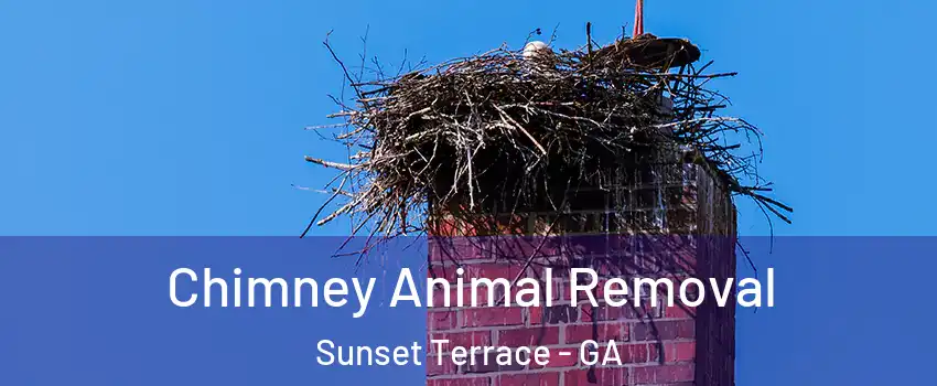 Chimney Animal Removal Sunset Terrace - GA