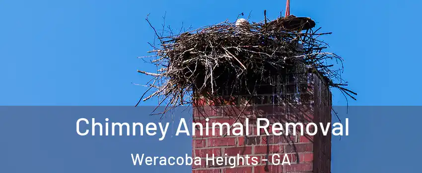 Chimney Animal Removal Weracoba Heights - GA