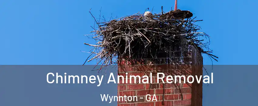 Chimney Animal Removal Wynnton - GA