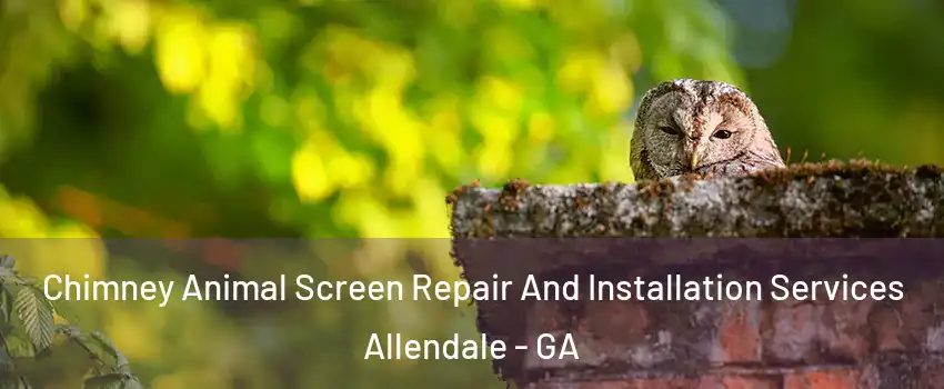 Chimney Animal Screen Repair And Installation Services Allendale - GA