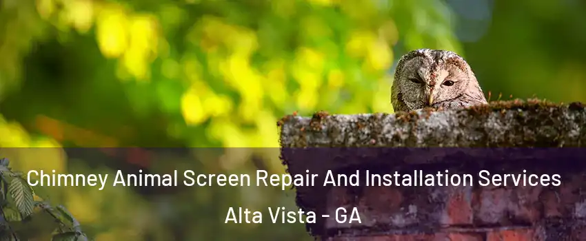 Chimney Animal Screen Repair And Installation Services Alta Vista - GA