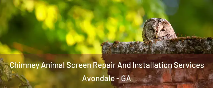 Chimney Animal Screen Repair And Installation Services Avondale - GA