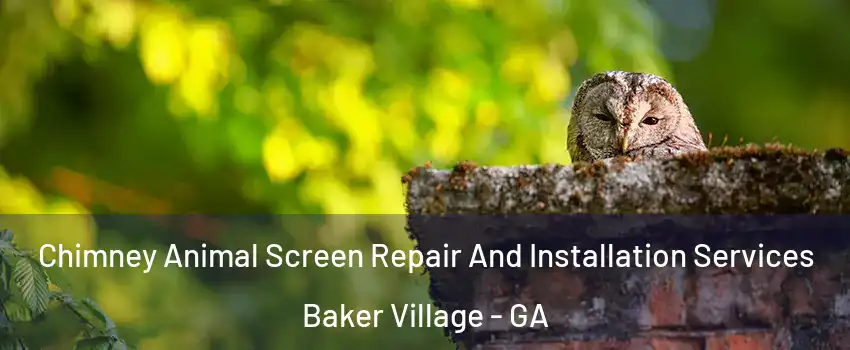 Chimney Animal Screen Repair And Installation Services Baker Village - GA