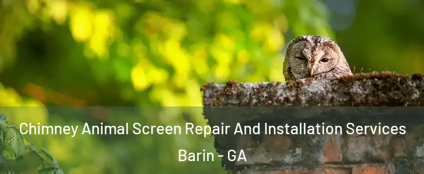 Chimney Animal Screen Repair And Installation Services Barin - GA
