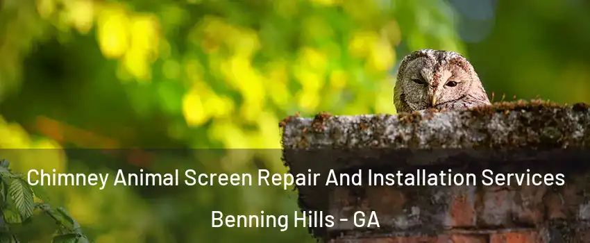Chimney Animal Screen Repair And Installation Services Benning Hills - GA