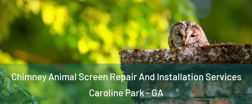 Chimney Animal Screen Repair And Installation Services Caroline Park - GA