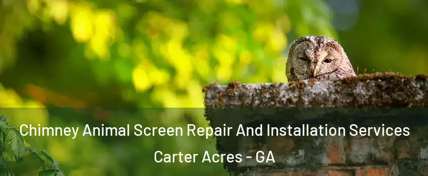 Chimney Animal Screen Repair And Installation Services Carter Acres - GA
