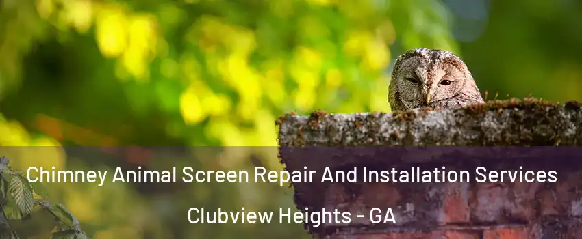 Chimney Animal Screen Repair And Installation Services Clubview Heights - GA