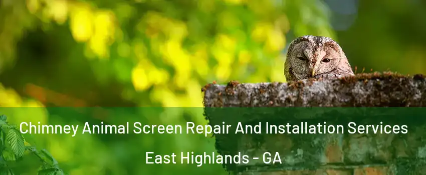 Chimney Animal Screen Repair And Installation Services East Highlands - GA