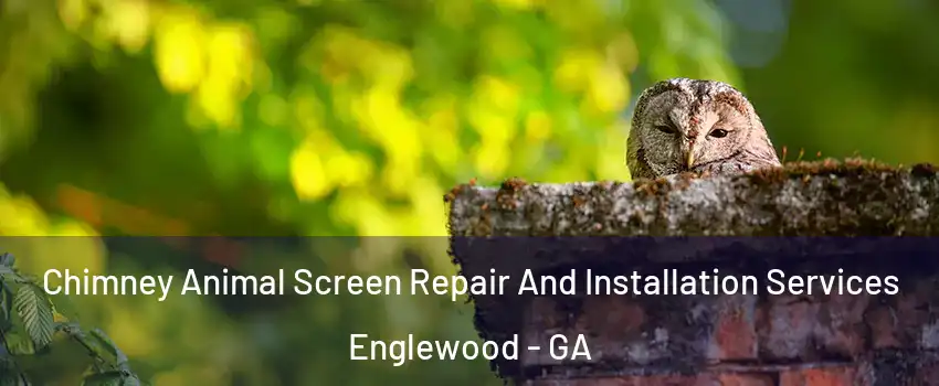 Chimney Animal Screen Repair And Installation Services Englewood - GA