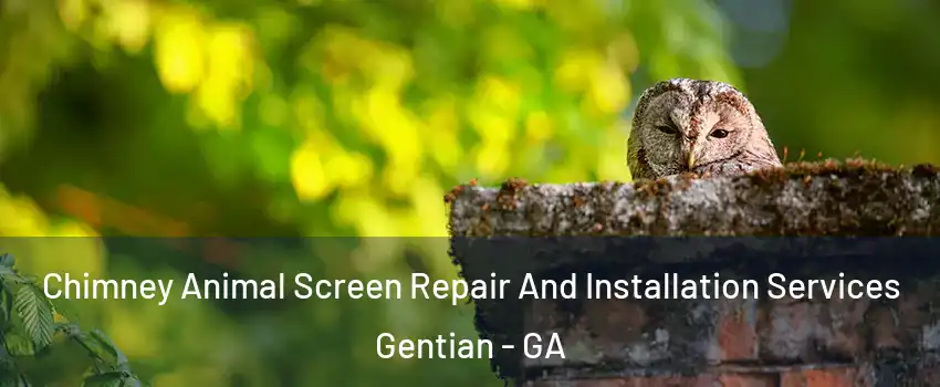 Chimney Animal Screen Repair And Installation Services Gentian - GA