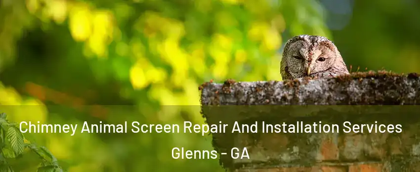 Chimney Animal Screen Repair And Installation Services Glenns - GA