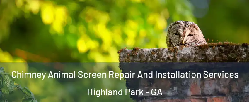 Chimney Animal Screen Repair And Installation Services Highland Park - GA