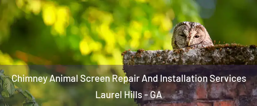 Chimney Animal Screen Repair And Installation Services Laurel Hills - GA