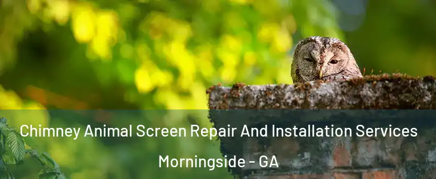 Chimney Animal Screen Repair And Installation Services Morningside - GA
