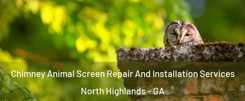 Chimney Animal Screen Repair And Installation Services North Highlands - GA