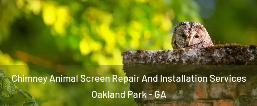 Chimney Animal Screen Repair And Installation Services Oakland Park - GA